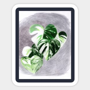 philodendron leaves Sticker